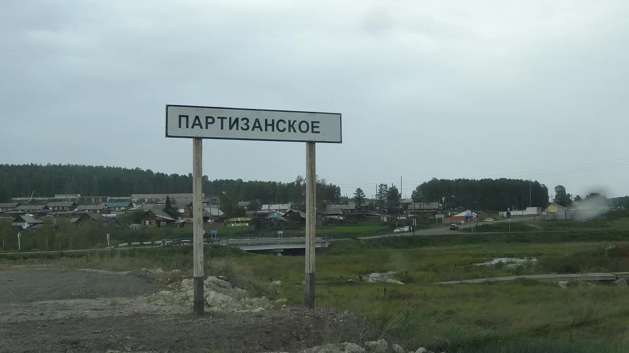 Партизанское